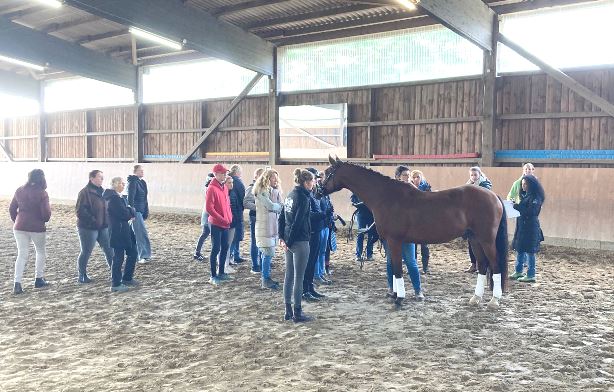 TFB RuF Niederweidbach